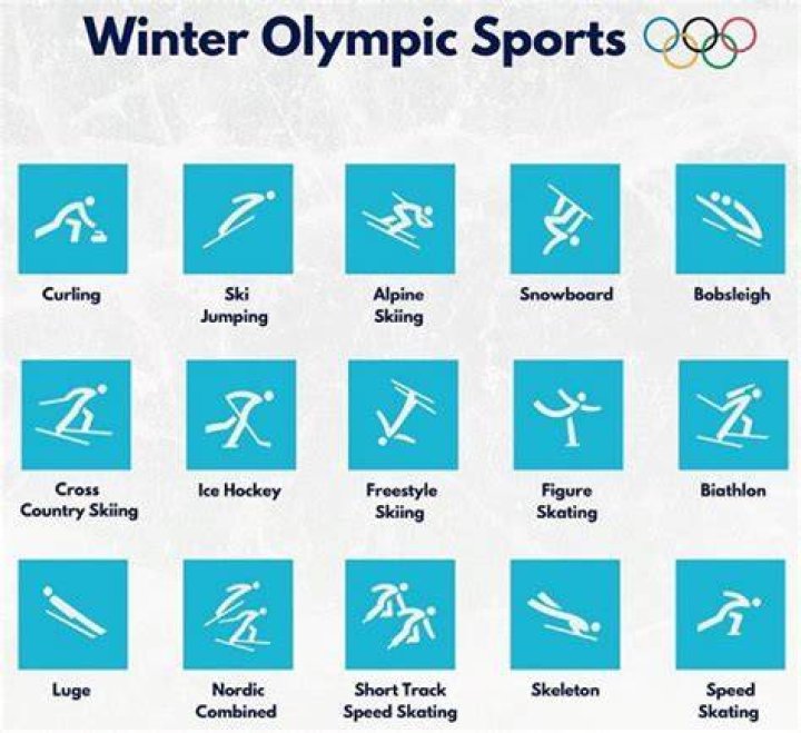 Which sport is included in the Winter Olympic Games Programme?