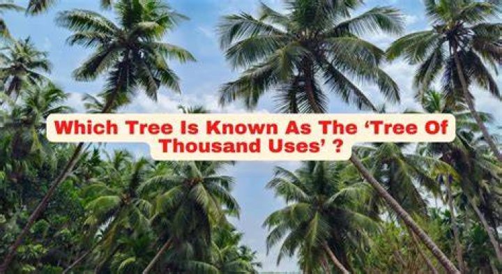 Which tree is known as City of Thousand Uses?
