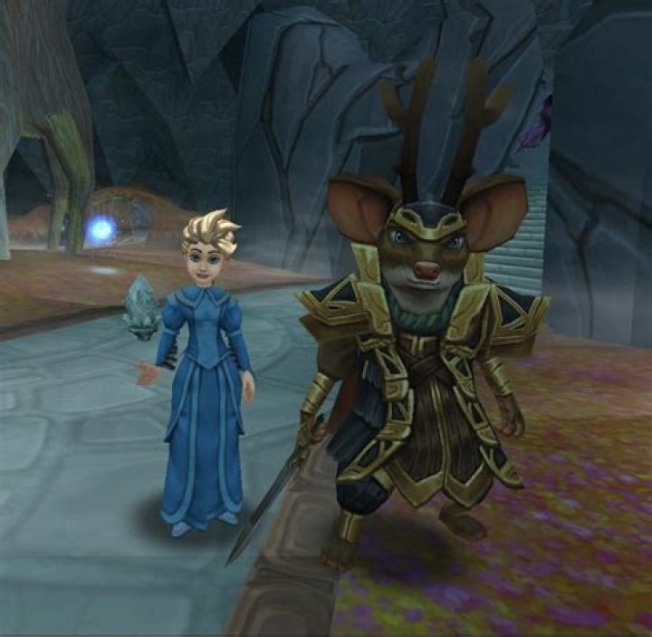 Who created Wizard101?