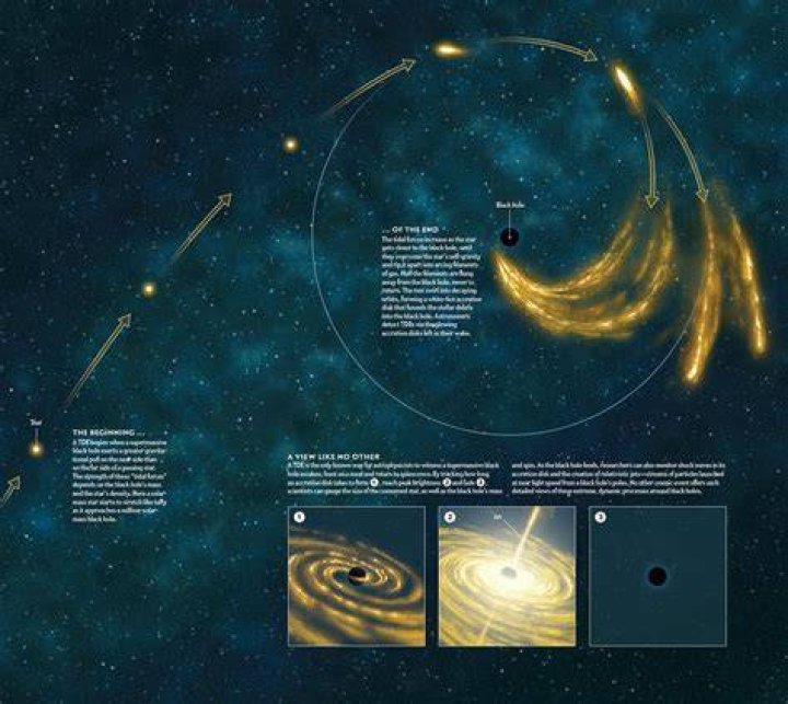 Who first postulated black holes?