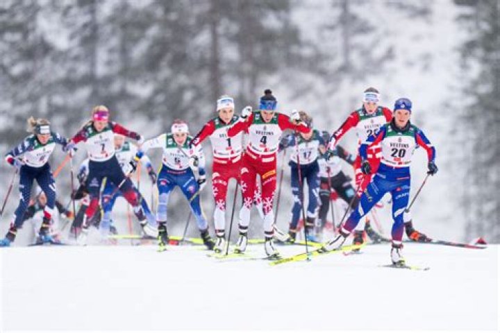 Who has the most gold medals in cross-country skiing?