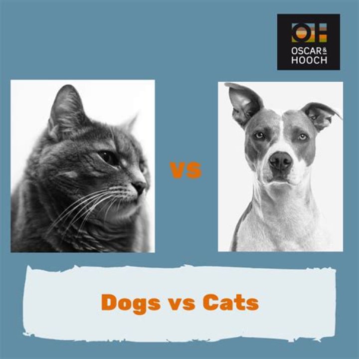 Who hears better cats or dogs?
