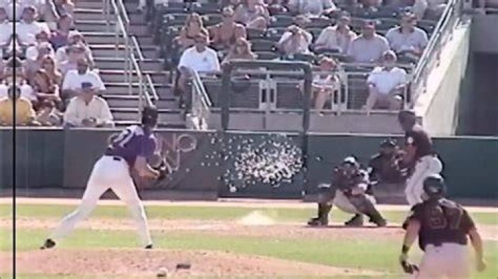 Who hit the bird with the baseball?