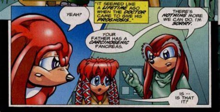 Who is Echidna father?
