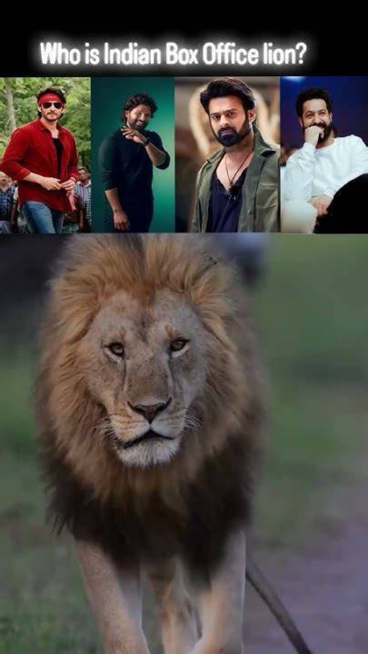 Who is Indian box office king?