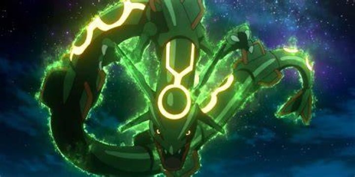 Who owns a Rayquaza in the anime?