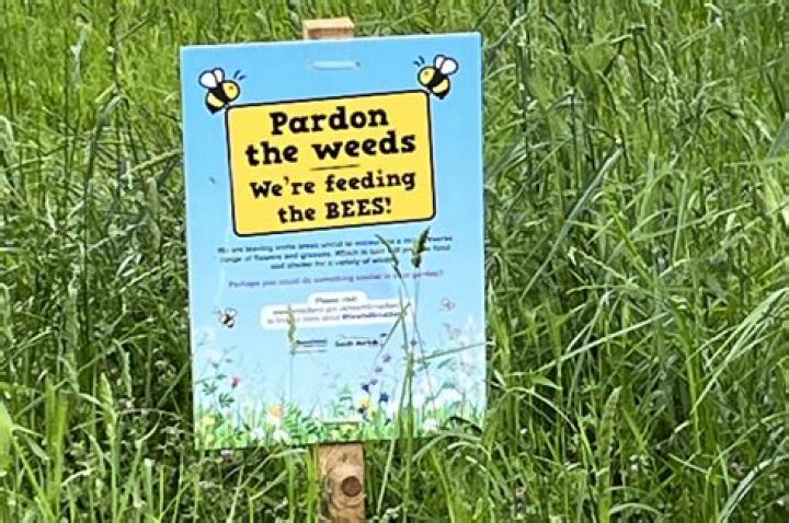 Who owns the grass verge UK?