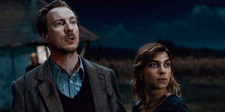 Who raised Teddy Lupin?