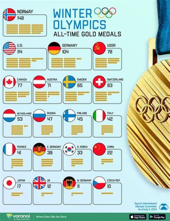 Who won the most gold medals in the 2010 Winter Olympics?
