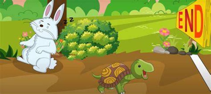 Who won the race between the turtle and the rabbit?