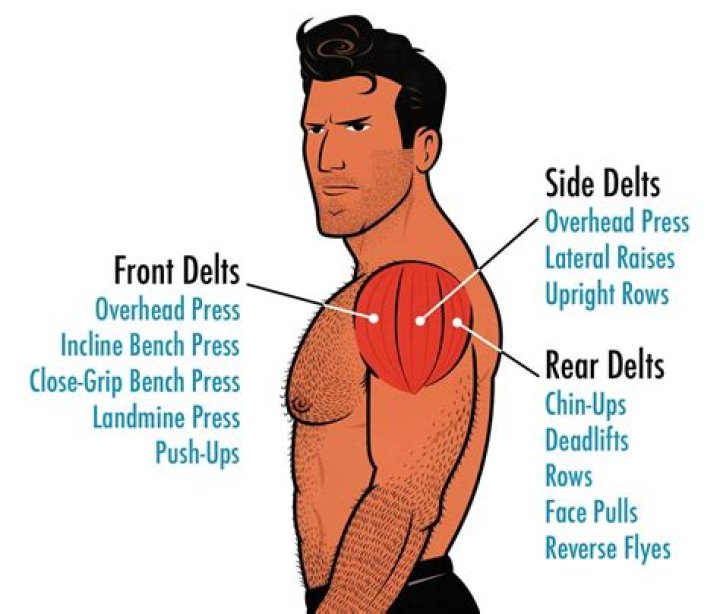 Why are shoulder exercises so hard?