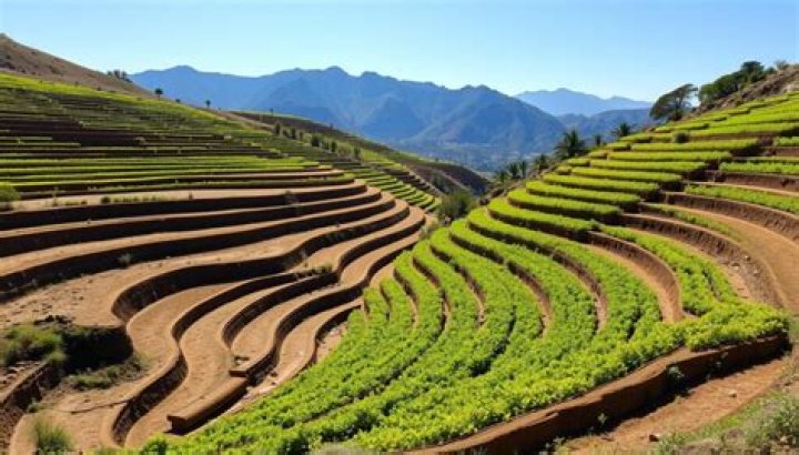 Why are terraces made on the sloping land?