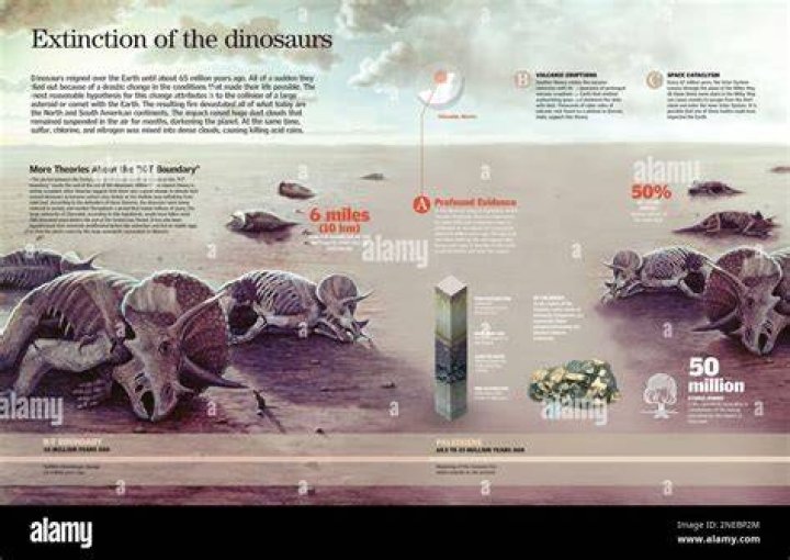 Why did only dinosaurs go extinct?