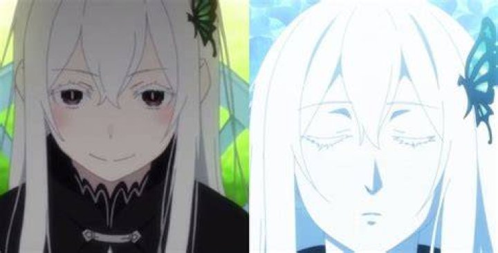 Why did Subaru tell Echidna?