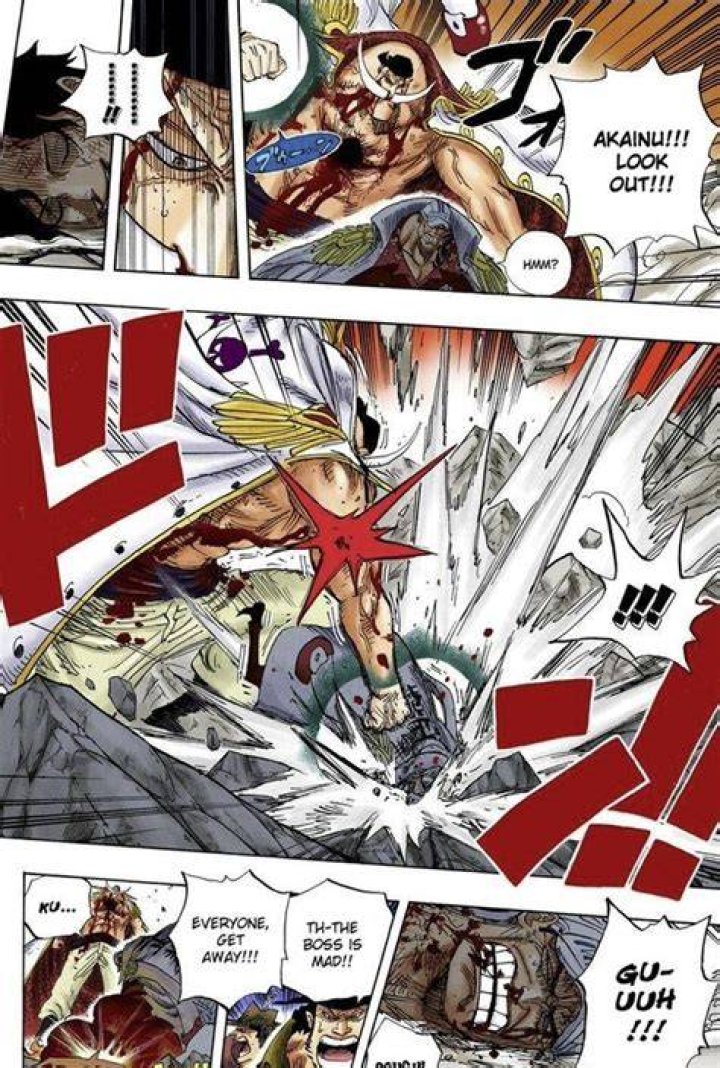 Why did whitebeard not use Haki?
