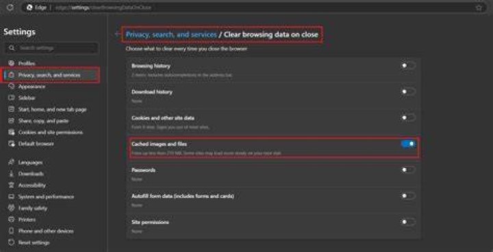 Why do I need to clear my terminal history?