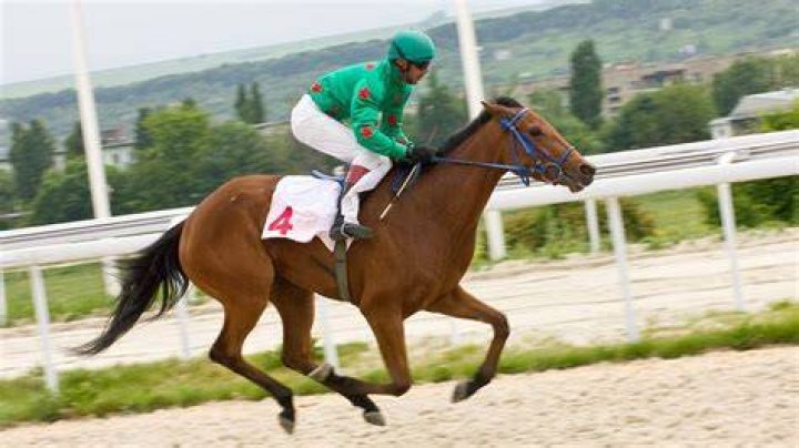 Why do jockeys stand up while racing?