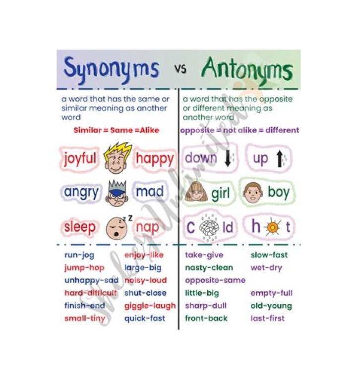 Why do synonyms and antonyms have to go together?