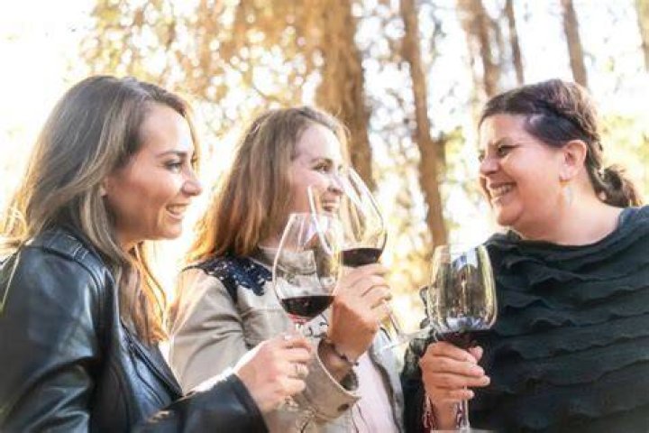 Why does alcohol make you happy?