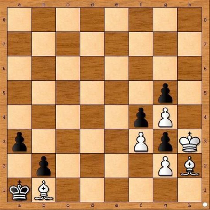 Why does chess com force a draw?