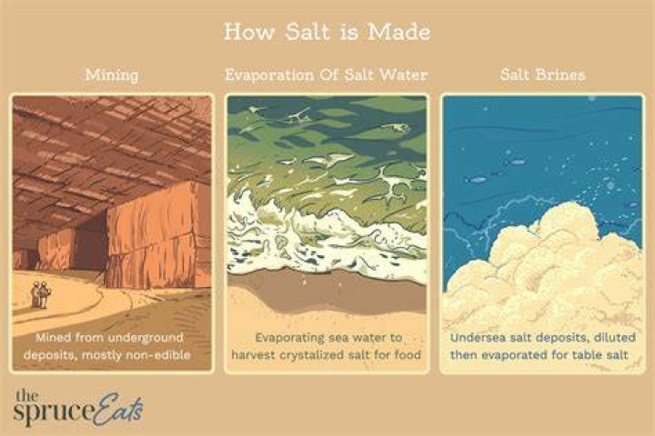 Why does salt water make you poop?