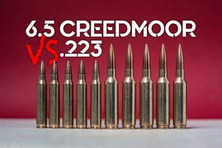 Why is 6.5 Creedmoor so popular?