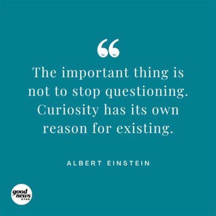 Why is curiosity important in life?
