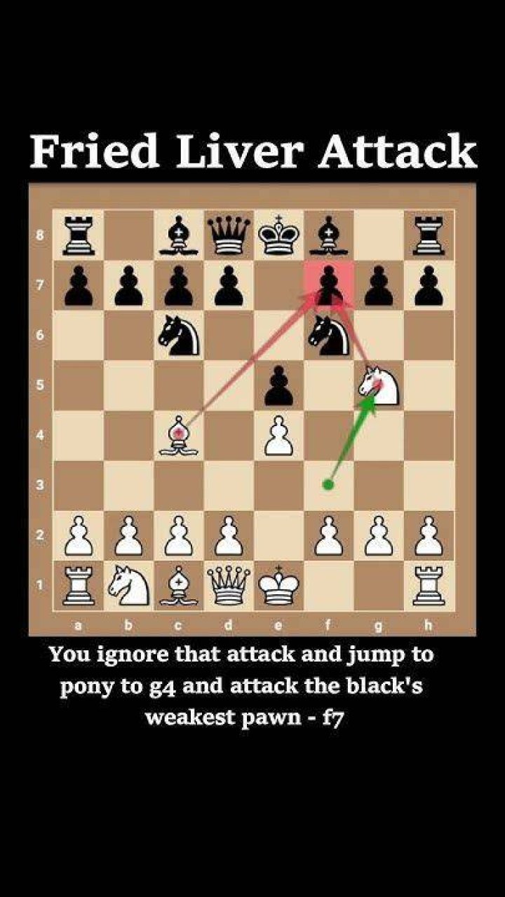 Why is it called the Fried Liver Attack in chess?