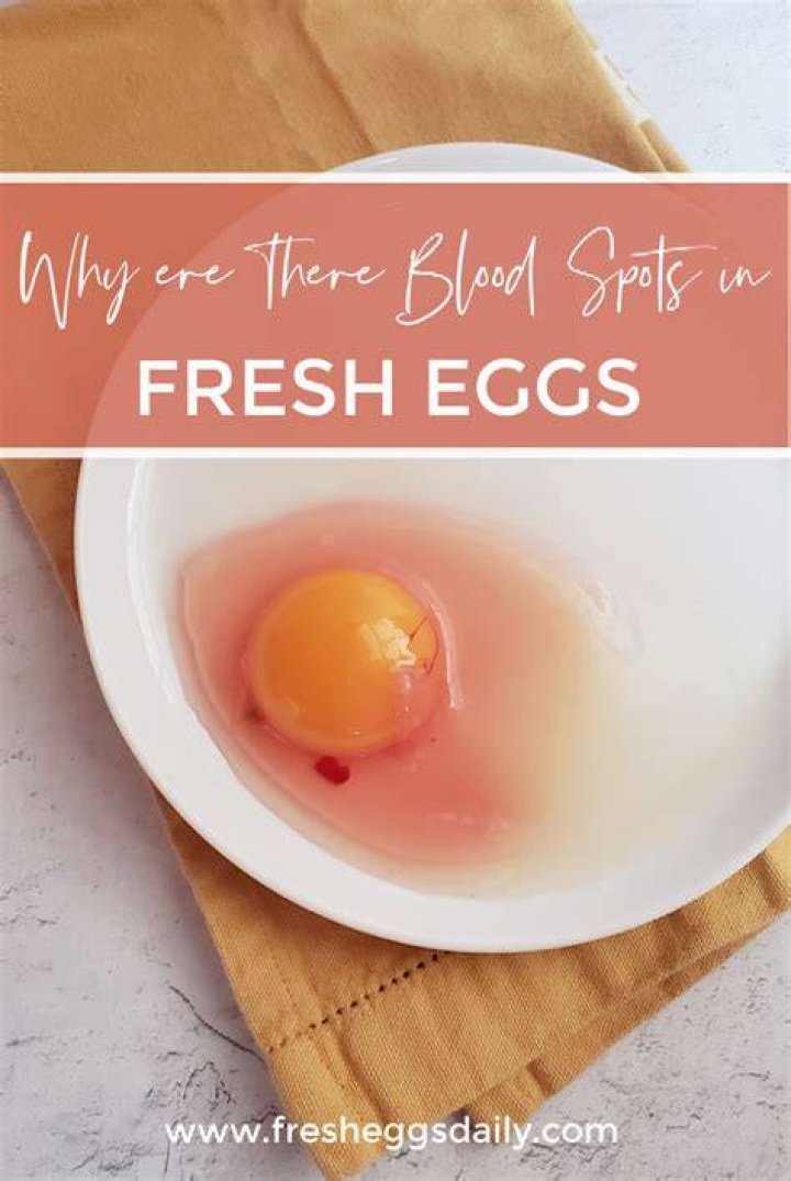 Why is there blood on my egg shell?