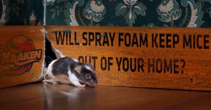 Will spray foam insulation keep out mice?